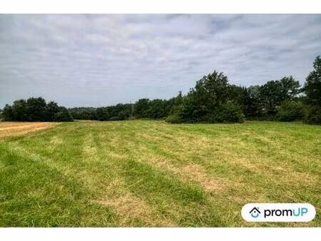 vente terrain 7103 m² mons (31280)