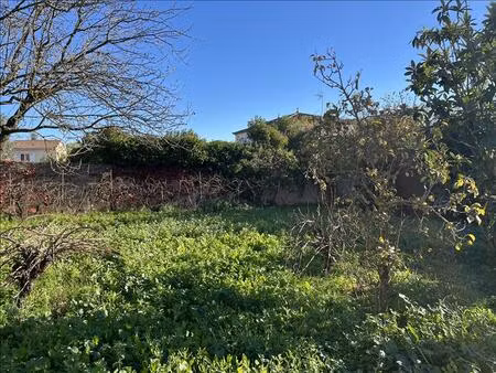 vente terrain 503 m² montbazin (34560)