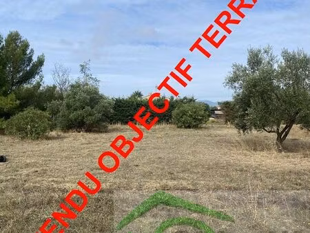 vente terrain 442 m² magalas (34480)