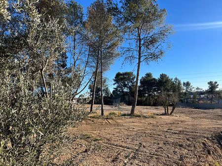 vente local industriel 301 m² saint-clément-de-rivière (34980)