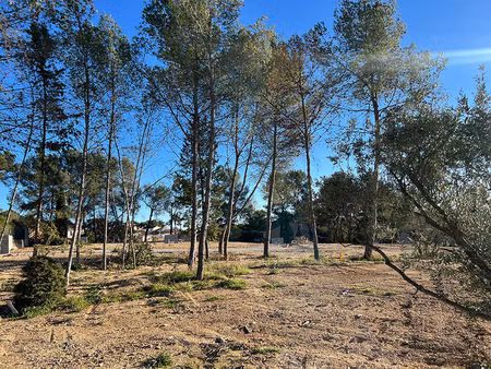 vente local industriel 339 m² saint-clément-de-rivière (34980)