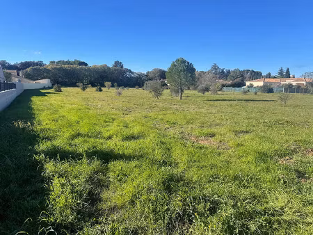 vente local industriel 500 m² canet (34800)