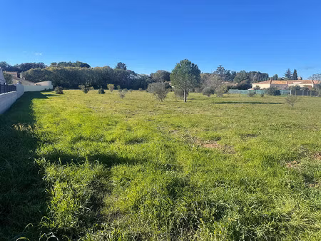 vente local industriel 563 m² canet (34800)