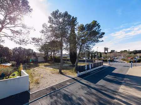 vente local industriel 720 m² castries (34160)