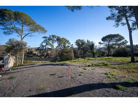 vente local industriel 900 m² cournonsec (34660)