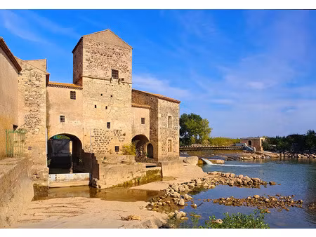 vente local industriel 338 m² saint-thibéry (34630)