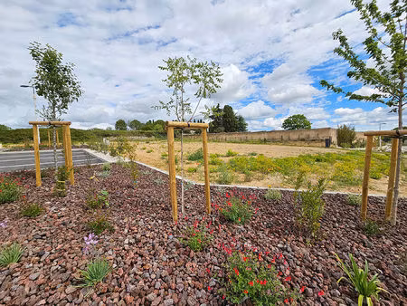 vente local industriel 505 m² pouzolles (34480)