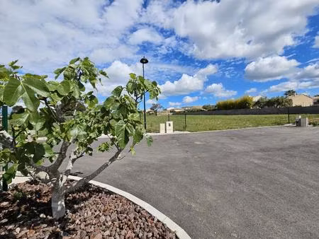 vente local industriel 1541 m² roujan (34320)