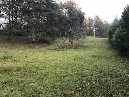 vente terrain 2000 m² auch (32000)