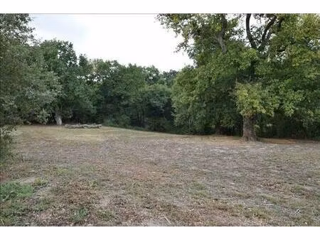 vente terrain 5050 m² projan (32400)