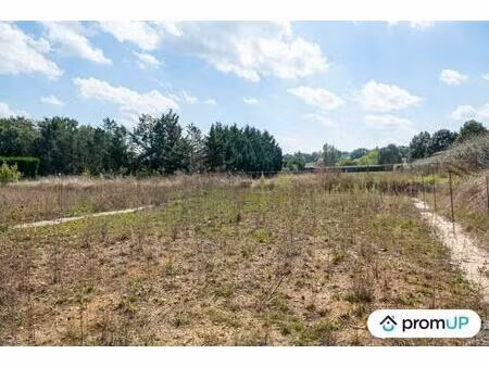 vente terrain 2485 m² mauvezin (32120)