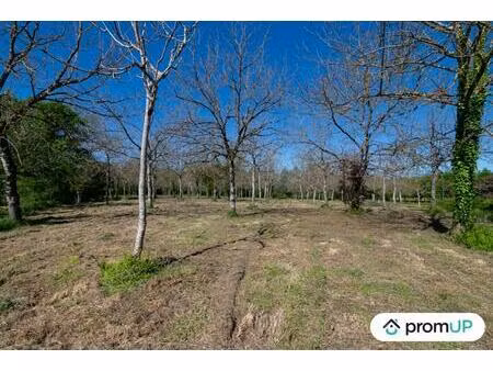 vente terrain 10000 m² réans (32800)