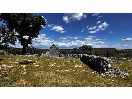 vente terrain 80524 m² saint-chels (46160)