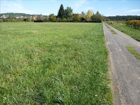 vente terrain 10440 m² puy-l’évêque (46700)