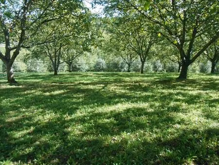 vente terrain 2048 m² glanes (46130)