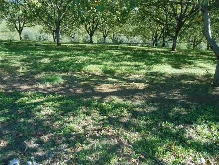 vente terrain 2549 m² glanes (46130)