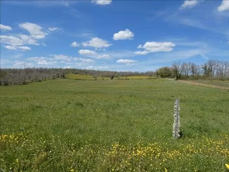 vente terrain 7130 m² cuzance (46600)