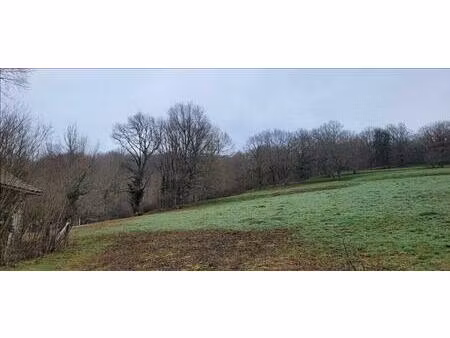 vente terrain 2110 m² gagnac-sur-cère (46130)