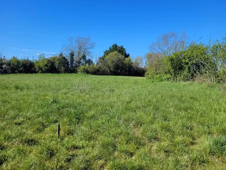 vente terrain 1000 m² castelnau-montratier (46170)