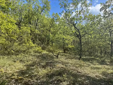 terrain à bâtir de 0 pièces principales