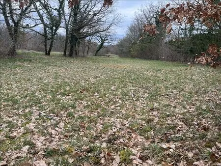 vente terrain 3392 m² promilhanes (46260)