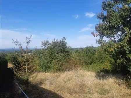 vente terrain 4387 m² saint-projet (46300)