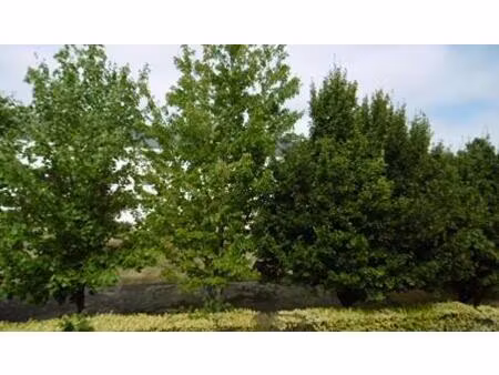 vente appartement nantes (44000)