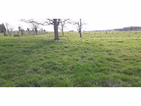 vente terrain 1037 m² villers-le-sec (51250)