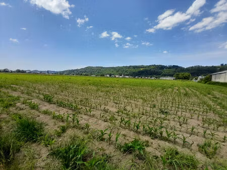 vente terrain 6181 m² lézignan (65100)