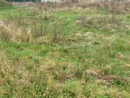 vente terrain 2596 m² noyon (60400)