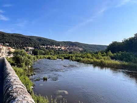 vente local industriel 445 m² amélie-les-bains-palalda (66110)