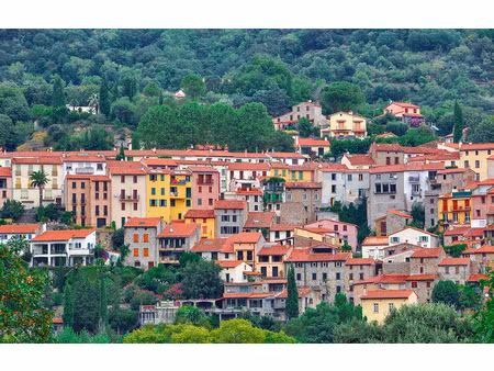 vente local industriel 445 m² amélie-les-bains-palalda (66110)