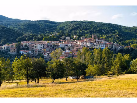 vente local industriel 466 m² amélie-les-bains-palalda (66110)