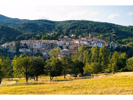 vente local industriel 495 m² amélie-les-bains-palalda (66110)