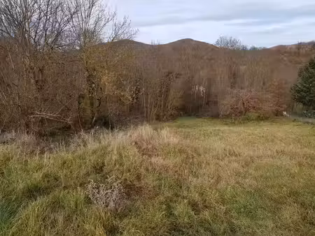 vente terrain 1505 m² brassac-les-mines (63570)