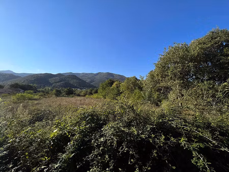 vente local industriel 509 m² amélie-les-bains-palalda (66110)