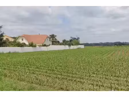 très beau terrain à bâtir aux portes de pau .