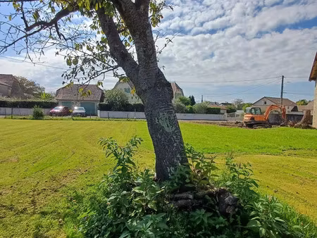 vente terrain 710 m² labastide-cézéracq (64170)