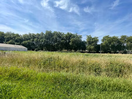 vente terrain 4000 m² montardon (64121)