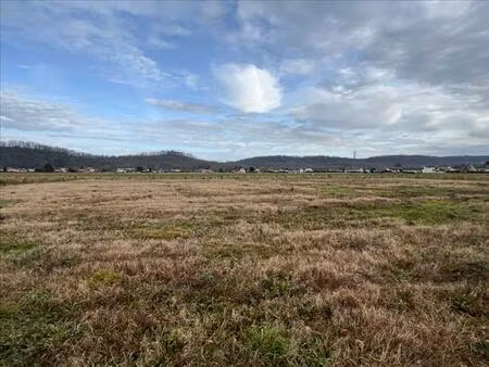 vente terrain 1037 m² bordes (64510)