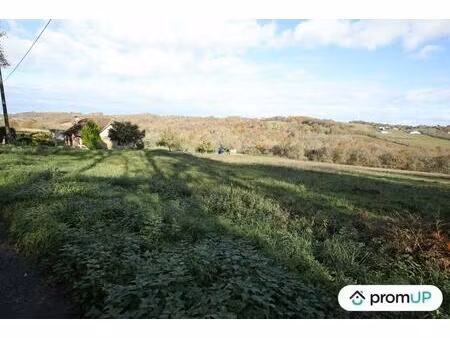 vente terrain 1620 m² casteide-cami (64170)