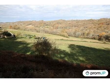 vente terrain 1633 m² casteide-cami (64170)