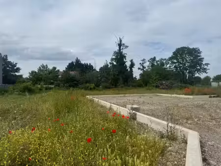 programme les champs fleuris à algolsheim