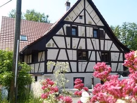 vente maison 6 pièces 175 m² liebenswiller (68220)