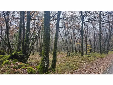vente terrain 29858 m² féneyrols (82140)