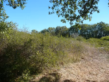 vente terrain 5345 m² parisot (82160)