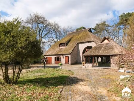 terrain à vendre à hechtel € 825.000 (l6vsm) - era carl tournier (lommel) | zimmo