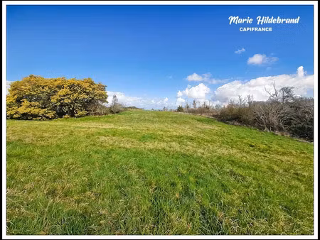 vente terrain 2396 m² à moissac (82200)  35 000 €