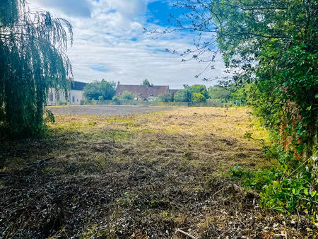 vente terrain 1711 m² héry (89550)