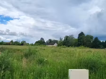 savigny sur clairis